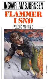 Cover of Flammer i snø