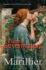 Cover of Flame of Sevenwaters