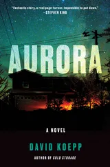 Cover of Aurora