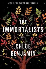 Cover of The Immortalists