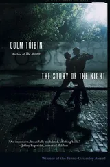 Cover of The Story of the Night