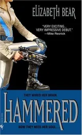 Cover of Hammered