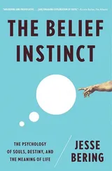 Cover of The belief instinct the psychology of souls, destiny, and the meaning of life