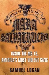 Cover of This Is for the Mara Salvatrucha