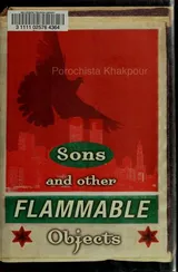 Cover of Sons and other flammable objects