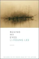 Cover of Behind My Eyes