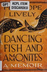 Cover of Dancing fish and ammonites