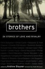 Cover of Brothers