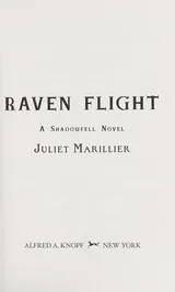 Cover of Raven Flight