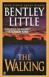 Cover of The Walking