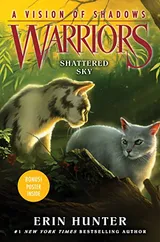 Cover of Shattered Sky