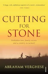 Cover of Cutting for Stone