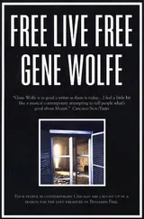 Cover of Free Live Free