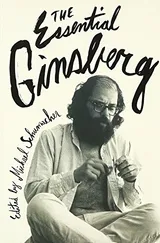 Cover of The Essential Ginsberg