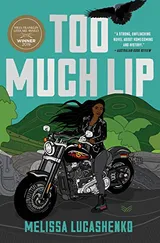 Cover of Too Much Lip