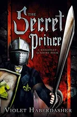 Cover of The Secret Prince