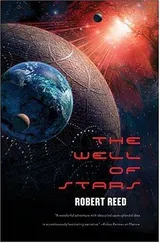 Cover of The Well of Stars