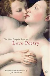 Cover of NEW PENGUIN BOOK OF LOVE POETRY; ED. BY JON STALLWORTHY.