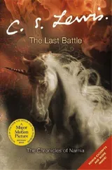 Cover of The Last Battle