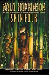 Cover of Skin Folk