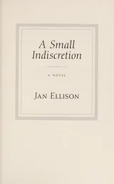 Cover of A Small Indiscretion