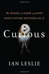 Cover of Curious: The Desire to Know and Why Your Future Depends On It