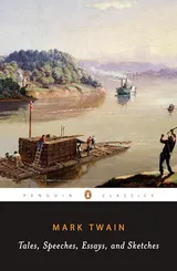 Cover of Tales, Speeches, Essays, and Sketches