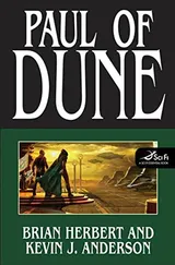 Cover of Paul of Dune