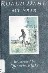 Cover of My Year