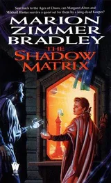 Cover of The Shadow Matrix