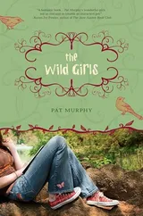 Cover of The Wild Girls