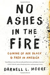 Cover of No Ashes in the Fire: Coming of Age Black and Free in America