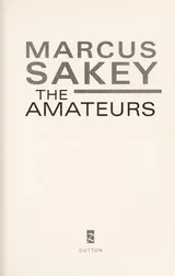 Cover of The Amateurs