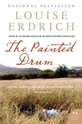 Cover of The Painted Drum
