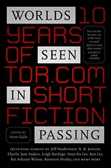 Cover of Worlds Seen in Passing: Ten Years of Tor.com Short Fiction
