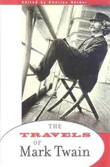 Cover of The Travels of Mark Twain