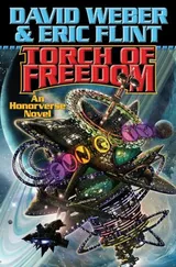 Cover of Torch of freedom