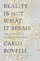 Cover of Reality is Not What it Seems