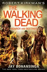 Cover of Search and Destroy