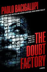 Cover of The Doubt Factory