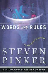 Cover of Words and Rules: The Ingredients of Language