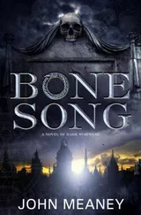 Cover of Bone Song