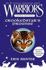 Cover of Crookedstar's Promise