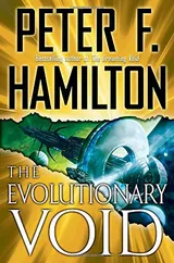 Cover of The Evolutionary Void