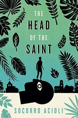 Cover of The Head of the Saint