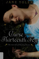 Cover of Thirteenth Fey
