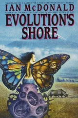 Cover of Evolution's Shore