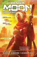 Cover of Denver Moon