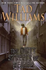 Cover of The Dirty Streets of Heaven