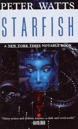 Cover of Starfish